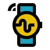 Wearables & VR Security