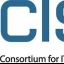 CISQ (Consortium for IT Software Quality)